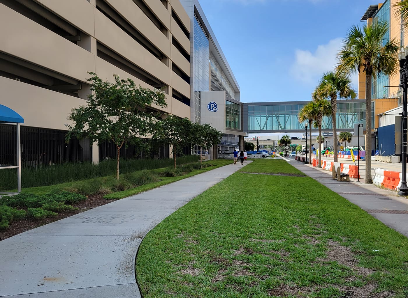 Palm Avenue