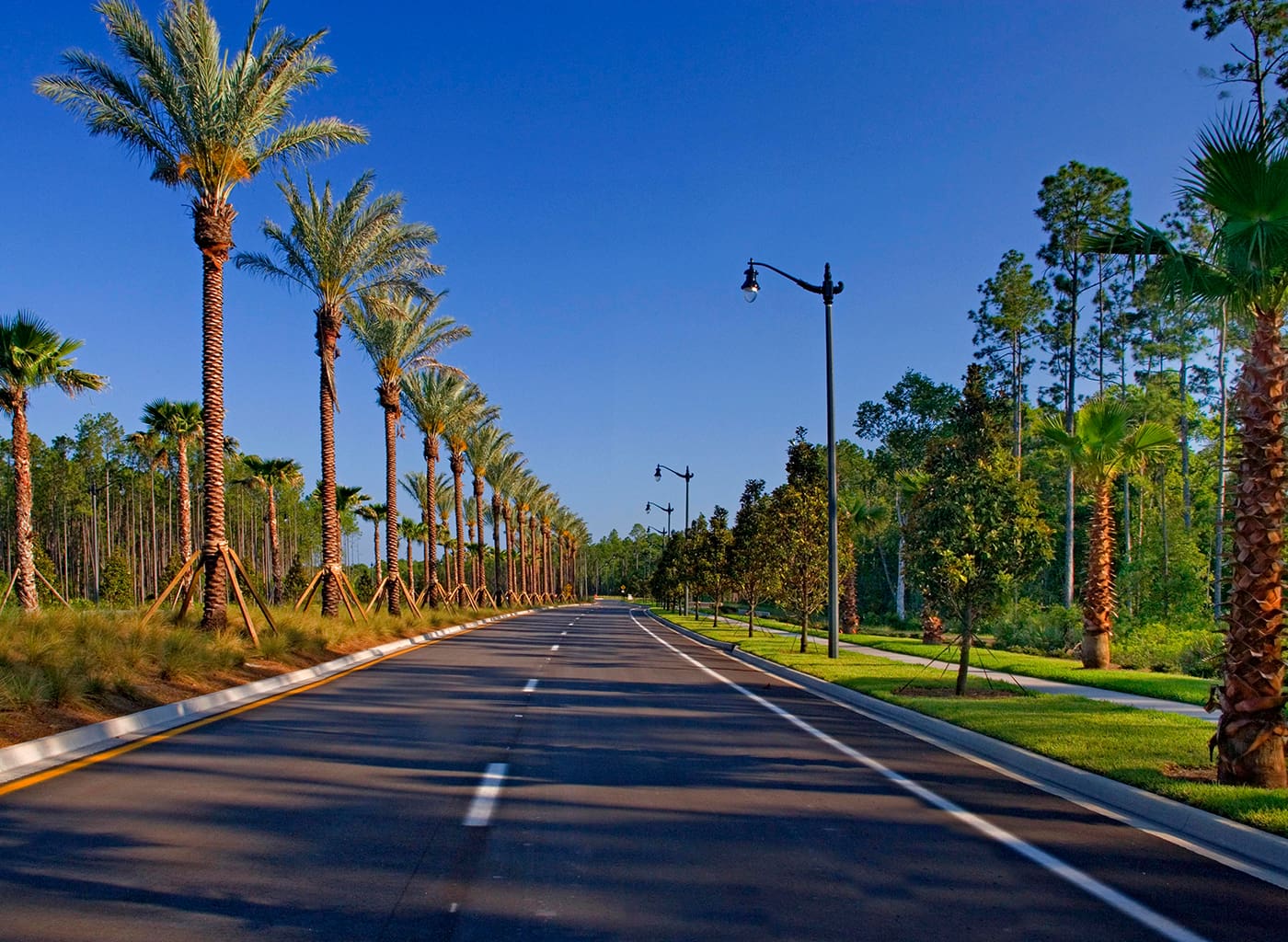 Nocatee