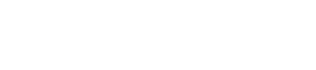 OpenGov Partner Award